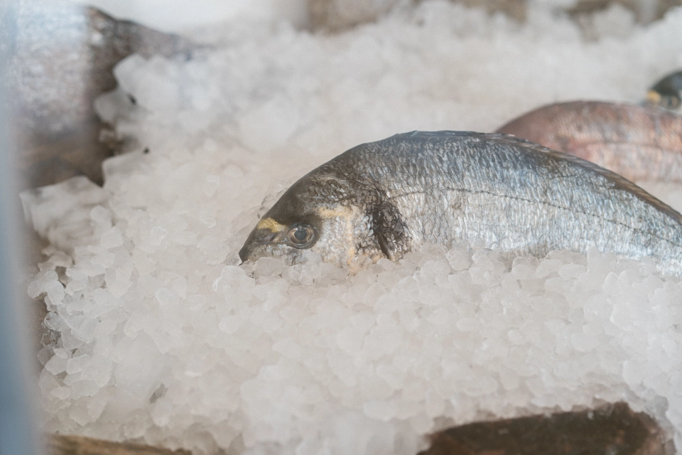 Restaurant - Fresh local fish & Seafood delicacies